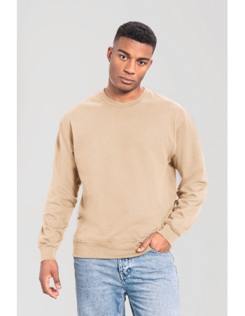 Iconic 250 sweatshirt