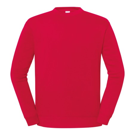 Iconic 250 sweatshirt