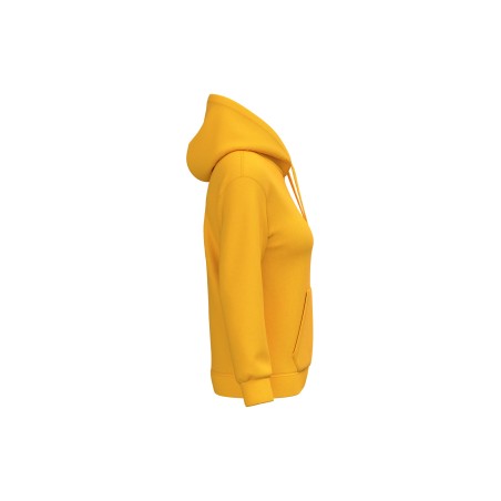 Ladies’ hooded sweatshirt