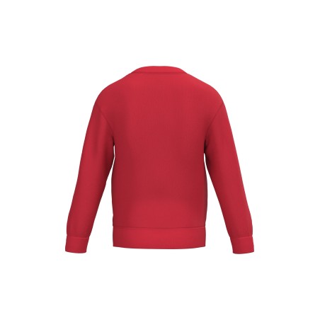 Kids\\\' crew neck sweatshirt