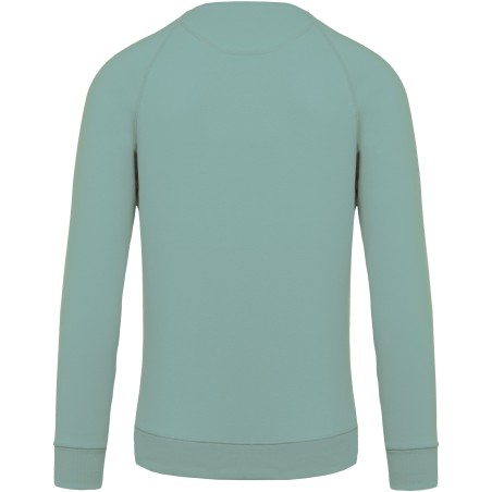 Men\\\'s organic cotton crew neck raglan sleeve sweatshirt