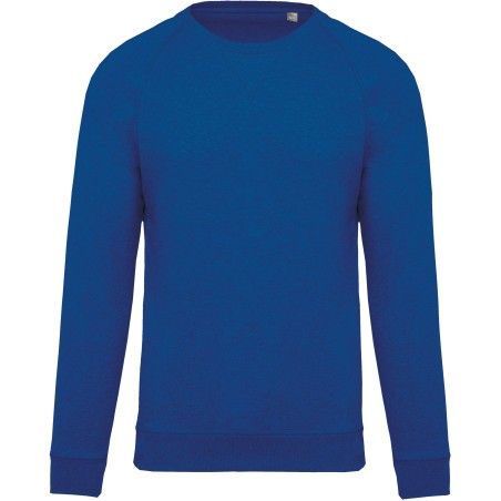 Kids\\\' organic raglan sleeve sweatshirt