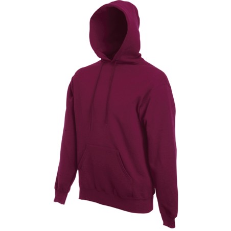 Classic Hooded Sweatshirt (62-208-0)