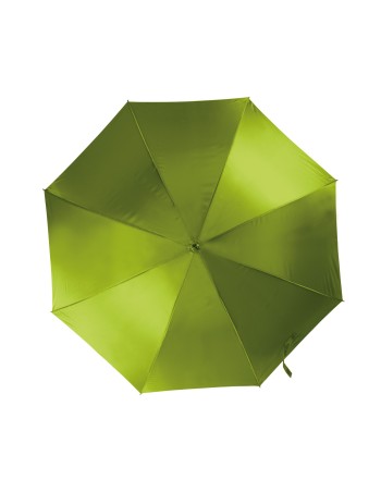 Automatic umbrella 2
