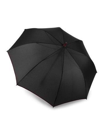 Automatic umbrella 2