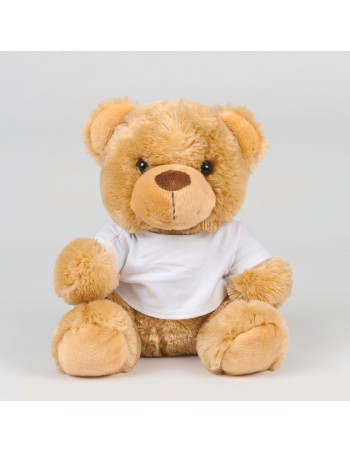 Teddy bear with t-shirt