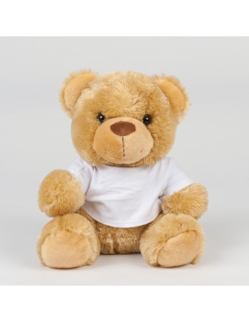 Teddy bear with t-shirt 2