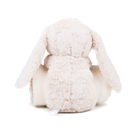 Rabbit and blanket