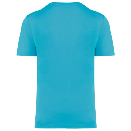 Camiseta triblend Sport