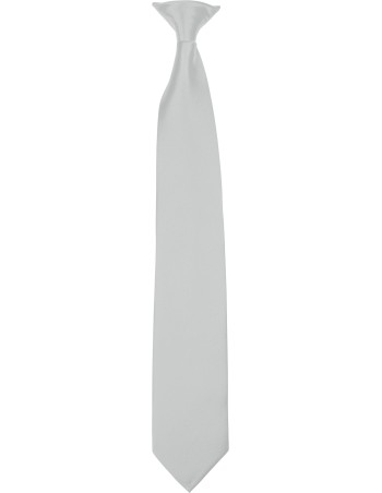 Clip-on tie 2