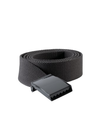 Polyester belt 2