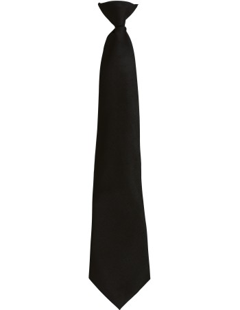 Clip-on tie 2