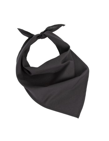 Fiesta - Bandana 2