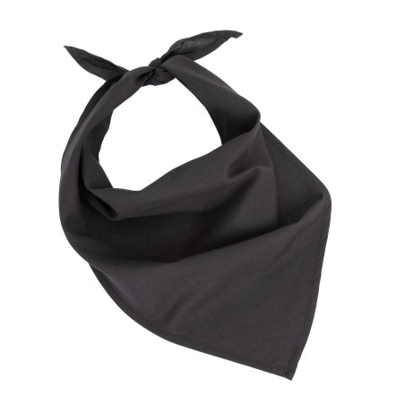 Fiesta - Bandana