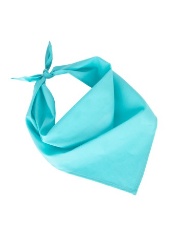 Fiesta - Bandana 2