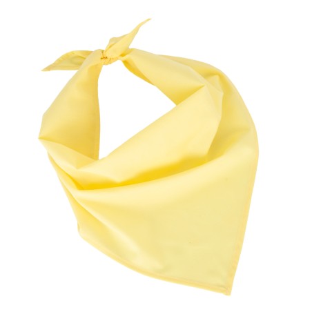 Bandana - Fiesta