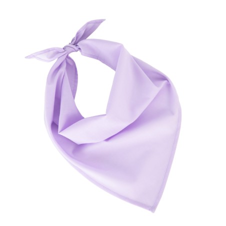 Bandana - Fiesta
