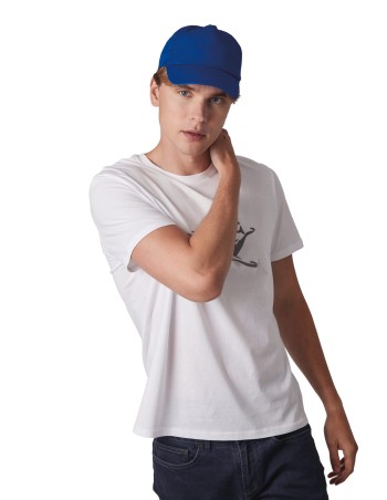 5 panels cap