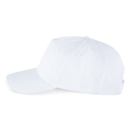 5 panels cap
