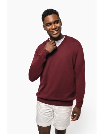 Men\\\'s V-neck jumper