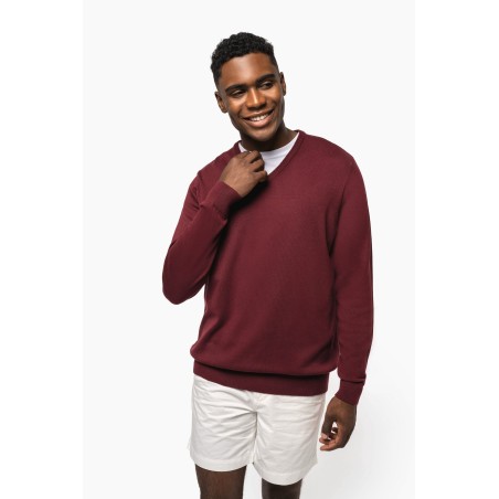 Men\\\'s V-neck jumper