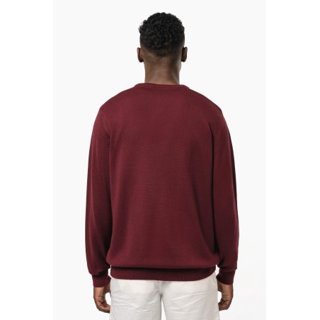 Men\\\'s V-neck jumper