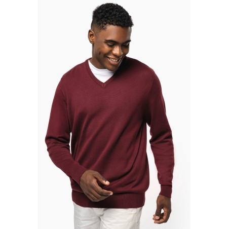 Men\\\'s V-neck jumper