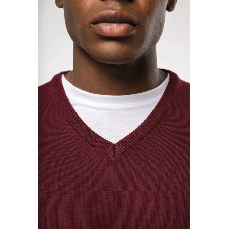Men\\\'s V-neck jumper
