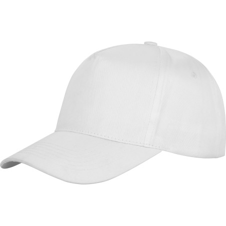 Houston Printers Cap